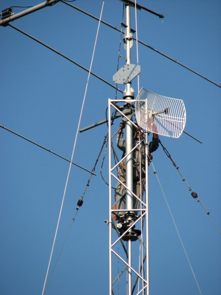 2,4 GHz WiFi grid antenna
